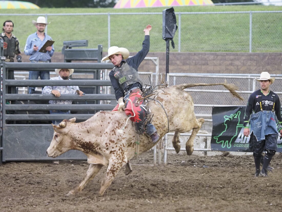 PHOTOS from the Douglas County Fair Demolition derby, Bull Bash and